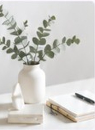 Helle Vase mit Eukalyptuszweigen und Büchern